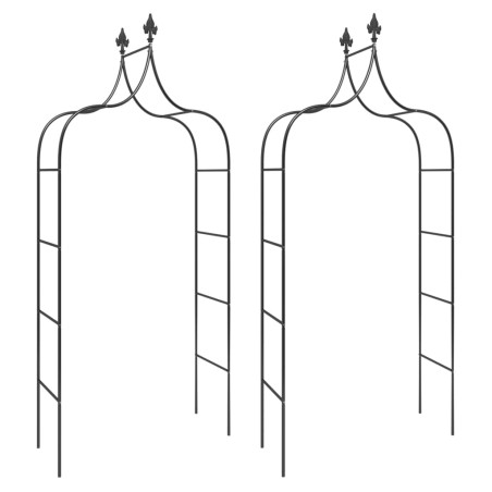 vidaXL Archi da Giardino 2 pz Neri 120x38x260 cm Acciaio