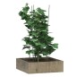vidaXL Supporti Piante da Giardino con 3 Anelli 5pz Verde 75cm Acciaio vidaXL Supporti Piante da Giardino con 3 Anelli 5pz Verde 75cm Acciaio