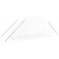 vidaXL Serra con Telaio in Acciaio Bianco 8 m² 4x2x2 m