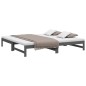 vidaXL Dormeuse Estraibile Grigia 2x(80x200) cm Legno Massello di Pino vidaXL Dormeuse Estraibile Grigia 2x(80x200) cm Legno Massello di Pino