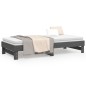 vidaXL Dormeuse Estraibile Grigia 2x(90x200) cm Legno Massello di Pino vidaXL Dormeuse Estraibile Grigia 2x(90x200) cm Legno Massello di Pino