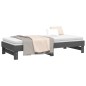 vidaXL Dormeuse Estraibile Grigia 2x(90x200) cm Legno Massello di Pino vidaXL Dormeuse Estraibile Grigia 2x(90x200) cm Legno Massello di Pino