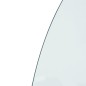 vidaXL Lastra in Vetro per Caminetto Semicircolare 800x600 mm