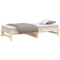 vidaXL Dormeuse Estraibile 2x(100x200) cm Legno Massello di Pino vidaXL Dormeuse Estraibile 2x(100x200) cm Legno Massello di Pino