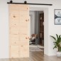 vidaXL Porta del Granaio 80x1,8x214 cm in Legno Massello di Pino