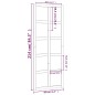 vidaXL Porta del Granaio 80x1,8x214 cm in Legno Massello di Pino