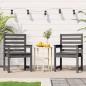vidaXL Sedie da Giardino 2pz Grigie 60x48x91 in Legno Massello Pino vidaXL Sedie da Giardino 2pz Grigie 60x48x91 in Legno Massello Pino