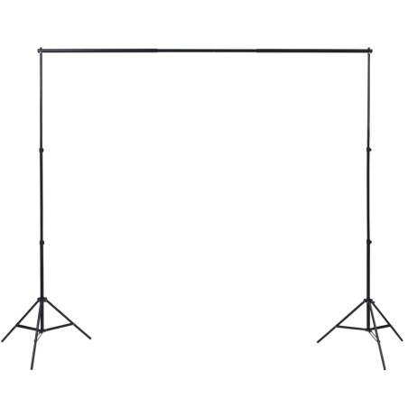 vidaXL Kit Studio Fotografico con Luci Ombrelli Fondale e Riflettore
