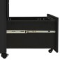vidaXL Schedario Mobile Antracite 30x45x59 cm in Acciaio