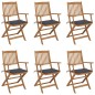 vidaXL Sedie da Giardino Pieghevoli 6 pz con Cuscini Massello Acacia vidaXL Sedie da Giardino Pieghevoli 6 pz con Cuscini Massello Acacia