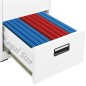 vidaXL Armadio Classificatore Bianco 46x62x133 cm in Acciaio vidaXL Armadio Classificatore Bianco 46x62x133 cm in Acciaio