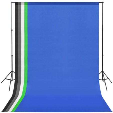 vidaXL Kit Studio Fotografico con Set di Luci e Fondale