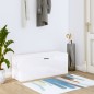 Scarpiera Bianco Lucido 100x35x38 cm in Legno Multistrato Scarpiera Bianco Lucido 100x35x38 cm in Legno Multistrato
