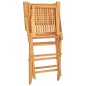 vidaXL Sedie da Giardino Pieghevoli 2pz 55x62x90cm Legno Massello Teak vidaXL Sedie da Giardino Pieghevoli 2pz 55x62x90cm Legno Massello Teak