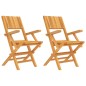 vidaXL Sedie da Giardino Pieghevoli 2pz 55x61x90cm Legno Massello Teak