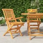 vidaXL Sedie da Giardino Pieghevoli 2pz 56x63x90cm Legno Massello Teak vidaXL Sedie da Giardino Pieghevoli 2pz 56x63x90cm Legno Massello Teak