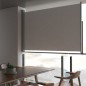 Tenda da Sole Laterale Retrattile 160 x 300 cm Grigia Tenda da Sole Laterale Retrattile 160 x 300 cm Grigia