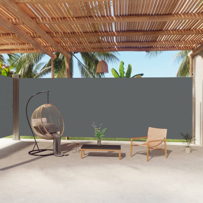 Tenda da Sole Laterale Retrattile Antracite 220x1000 cm Tenda da Sole Laterale Retrattile Antracite 220x1000 cm