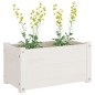 vidaXL Fioriere da Giardino 2 pz Bianche 60x31x31 cm Massello di Pino vidaXL Fioriere da Giardino 2 pz Bianche 60x31x31 cm Massello di Pino