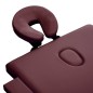 Lettino da Massaggio a 2 Sezioni in Alluminio Viola Vino Lettino da Massaggio a 2 Sezioni in Alluminio Viola Vino
