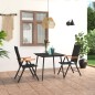 vidaXL Set da Pranzo da Giardino 3 pz Nero e Marrone vidaXL Set da Pranzo da Giardino 3 pz Nero e Marrone