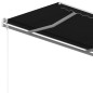 Tenda da Sole Retrattile Manuale con Pali 4x3 m Antracite Tenda da Sole Retrattile Manuale con Pali 4x3 m Antracite