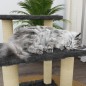 vidaXL Albero per Gatti con Tiragraffi in Sisal Grigio Scuro 50,5 cm vidaXL Albero per Gatti con Tiragraffi in Sisal Grigio Scuro 50,5 cm