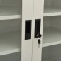 vidaXL Armadio Ufficio con Fioriera Grigio Chiaro 90x40x113 cm Acciaio vidaXL Armadio Ufficio con Fioriera Grigio Chiaro 90x40x113 cm Acciaio
