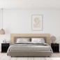 vidaXL Comodini 2 pz Neri 43x36x50 cm vidaXL Comodini 2 pz Neri 43x36x50 cm
