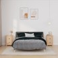 vidaXL Comodini 2 pz 40x35x61,5 cm in Legno Massello di Pino vidaXL Comodini 2 pz 40x35x61,5 cm in Legno Massello di Pino