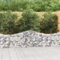 vidaXL Cesti Gabbioni ad Arco 11 pz 200x30x60/80 cm Ferro Zincato vidaXL Cesti Gabbioni ad Arco 11 pz 200x30x60/80 cm Ferro Zincato