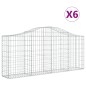 vidaXL Cesti Gabbioni ad Arco 6 pz 200x30x80/100 cm Ferro Zincato vidaXL Cesti Gabbioni ad Arco 6 pz 200x30x80/100 cm Ferro Zincato