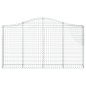 vidaXL Cesti Gabbioni ad Arco 20 pz 200x30x100/120 cm Ferro Zincato vidaXL Cesti Gabbioni ad Arco 20 pz 200x30x100/120 cm Ferro Zincato