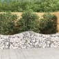 vidaXL Cesti Gabbioni ad Arco 8 pz 200x50x60/80 cm Ferro Zincato vidaXL Cesti Gabbioni ad Arco 8 pz 200x50x60/80 cm Ferro Zincato