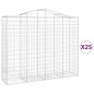 vidaXL Cesti Gabbioni ad Arco 25 pz 200x50x160/180 cm Ferro Zincato vidaXL Cesti Gabbioni ad Arco 25 pz 200x50x160/180 cm Ferro Zincato