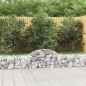 vidaXL Cesti Gabbioni ad Arco 5 pz 200x30x40/60 cm Ferro Zincato vidaXL Cesti Gabbioni ad Arco 5 pz 200x30x40/60 cm Ferro Zincato