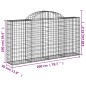 vidaXL Cesti Gabbioni ad Arco 11 pz 200x30x100/120 cm Ferro Zincato vidaXL Cesti Gabbioni ad Arco 11 pz 200x30x100/120 cm Ferro Zincato