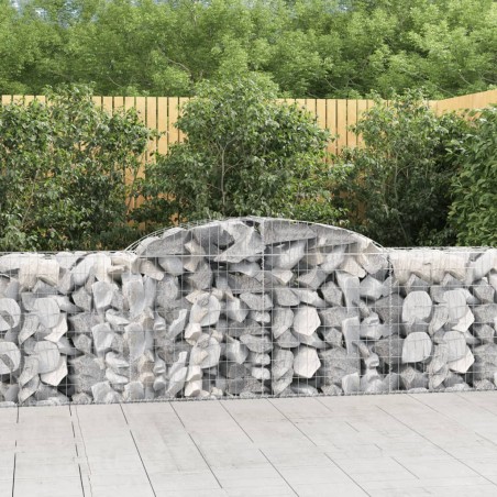 vidaXL Cesti Gabbioni ad Arco 20 pz 300x50x80/100 cm Ferro Zincato