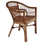vidaXL Sedie da Esterno 2 pz in Rattan Naturale Marrone vidaXL Sedie da Esterno 2 pz in Rattan Naturale Marrone