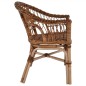 vidaXL Sedie da Esterno 4 pz in Rattan Naturale Marrone vidaXL Sedie da Esterno 4 pz in Rattan Naturale Marrone