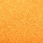Zerbino Lavabile Arancione 90x150 cm Zerbino Lavabile Arancione 90x150 cm