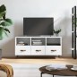 vidaXL Mobile Porta TV Bianco 102x36x50 cm in Legno Multistrato vidaXL Mobile Porta TV Bianco 102x36x50 cm in Legno Multistrato