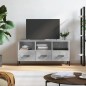 vidaXL Mobile Porta TV Grigio Cemento 102x36x50 cm Legno Multistrato vidaXL Mobile Porta TV Grigio Cemento 102x36x50 cm Legno Multistrato