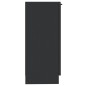vidaXL Credenze 2 pz Nere 30x30x70 cm in Legno Multistrato vidaXL Credenze 2 pz Nere 30x30x70 cm in Legno Multistrato