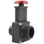 Valvola a Saracinesca per Piscina 2 pz 1,5" Valvola a Saracinesca per Piscina 2 pz 1,5"