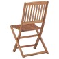 vidaXL Sedie da Giardino Pieghevoli 4 pz in Legno Massello d'Acacia vidaXL Sedie da Giardino Pieghevoli 4 pz in Legno Massello d'Acacia