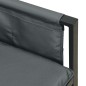 vidaXL Set Salotto da Giardino 2 pz in Acciaio Antracite vidaXL Set Salotto da Giardino 2 pz in Acciaio Antracite