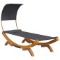 vidaXL Lettino con Tettuccio 100x200x126 cm in Legno Curvato Antracite vidaXL Lettino con Tettuccio 100x200x126 cm in Legno Curvato Antracite