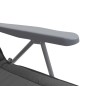 vidaXL Sedie da Giardino Pieghevoli con Cuscino 2 pz Grigio vidaXL Sedie da Giardino Pieghevoli con Cuscino 2 pz Grigio