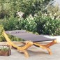 vidaXL Lettino Prendisole 100x188,5x44 cm in Legno Curvato Antracite vidaXL Lettino Prendisole 100x188,5x44 cm in Legno Curvato Antracite